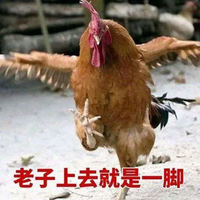 还记得当初实验一设置的开灯时间,并且在"天亮"前两个小时开始打鸣