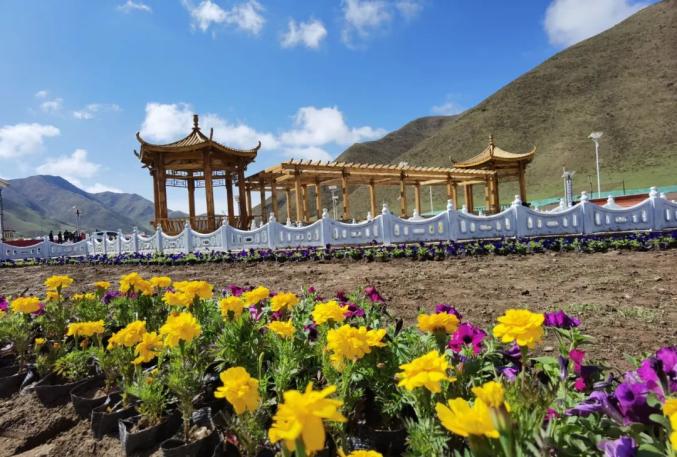 五彩卓尼大景区秀颜值百里洮河风情线绽芳华