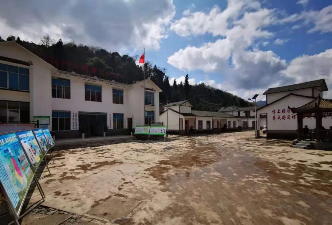 第一书记征稿选登55杨挺老山咔里的战贫四重奏