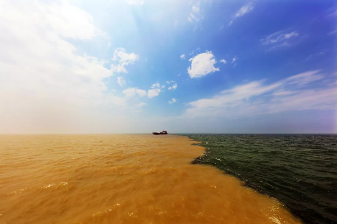 黄河入海口生态旅游区图片
