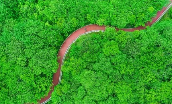 镇江南山绿道生态氧吧 许建全摄