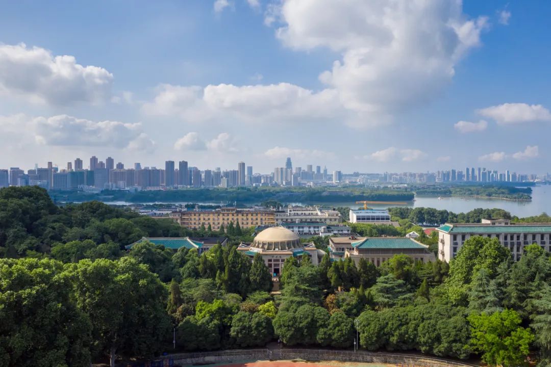 武大化学,一场百年奇幻之旅 | 强基计划,必选武大