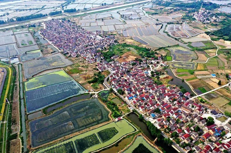 靠山吃山靠水吃水水美乡村叩开幸福门