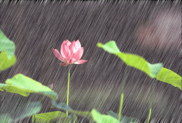 新一轮降雨就要来了 29日白天开始这些地方先下