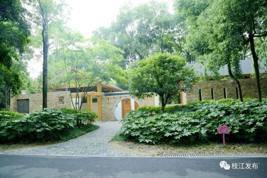 枝江谱写三部曲为市民幸福加码