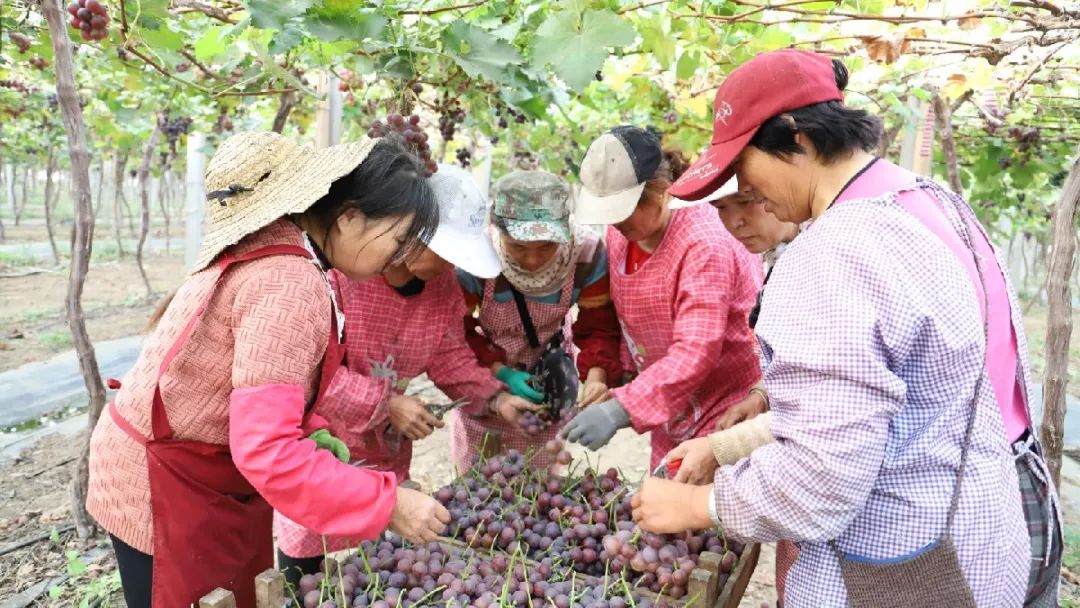 多年以前,松兴屯村很贫穷,村两委中只有妇女主任夏纪兰一位女性.