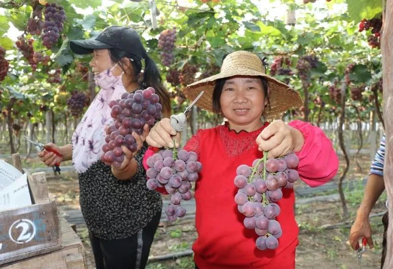 多年以前,松兴屯村很贫穷,村两委中只有妇女主任夏纪兰一位女性.