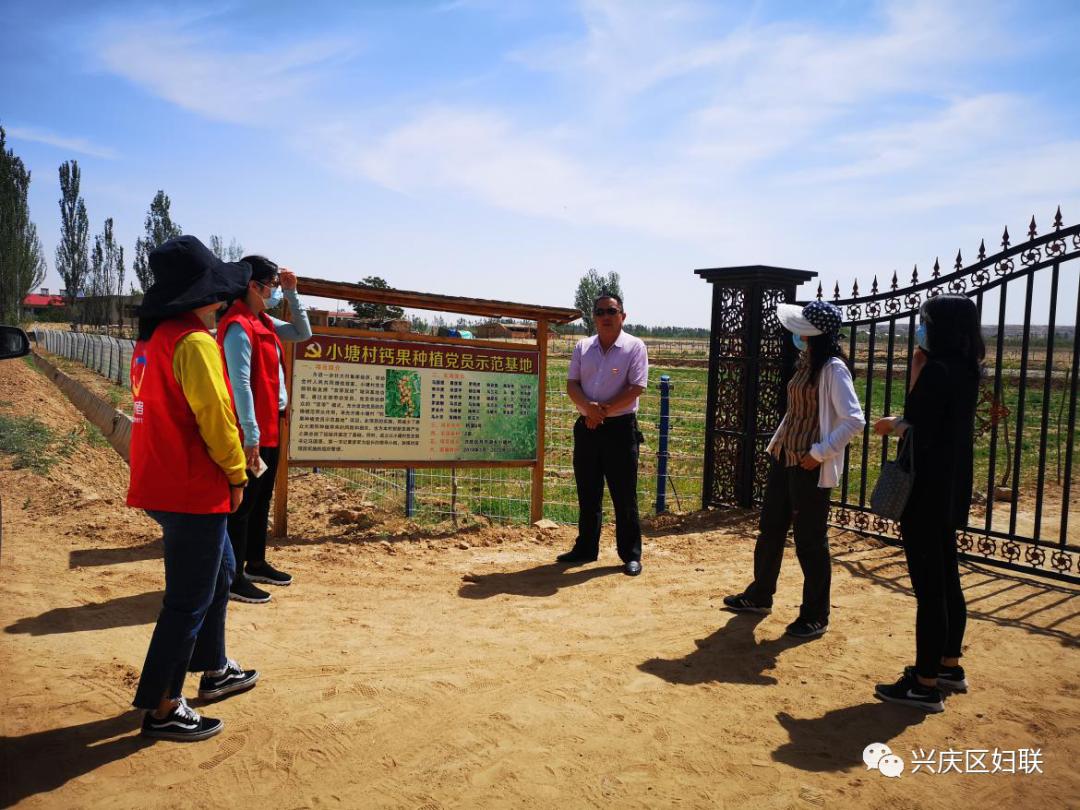 67关注兴庆区妇联深入月牙湖乡小塘村开展包村帮扶工作