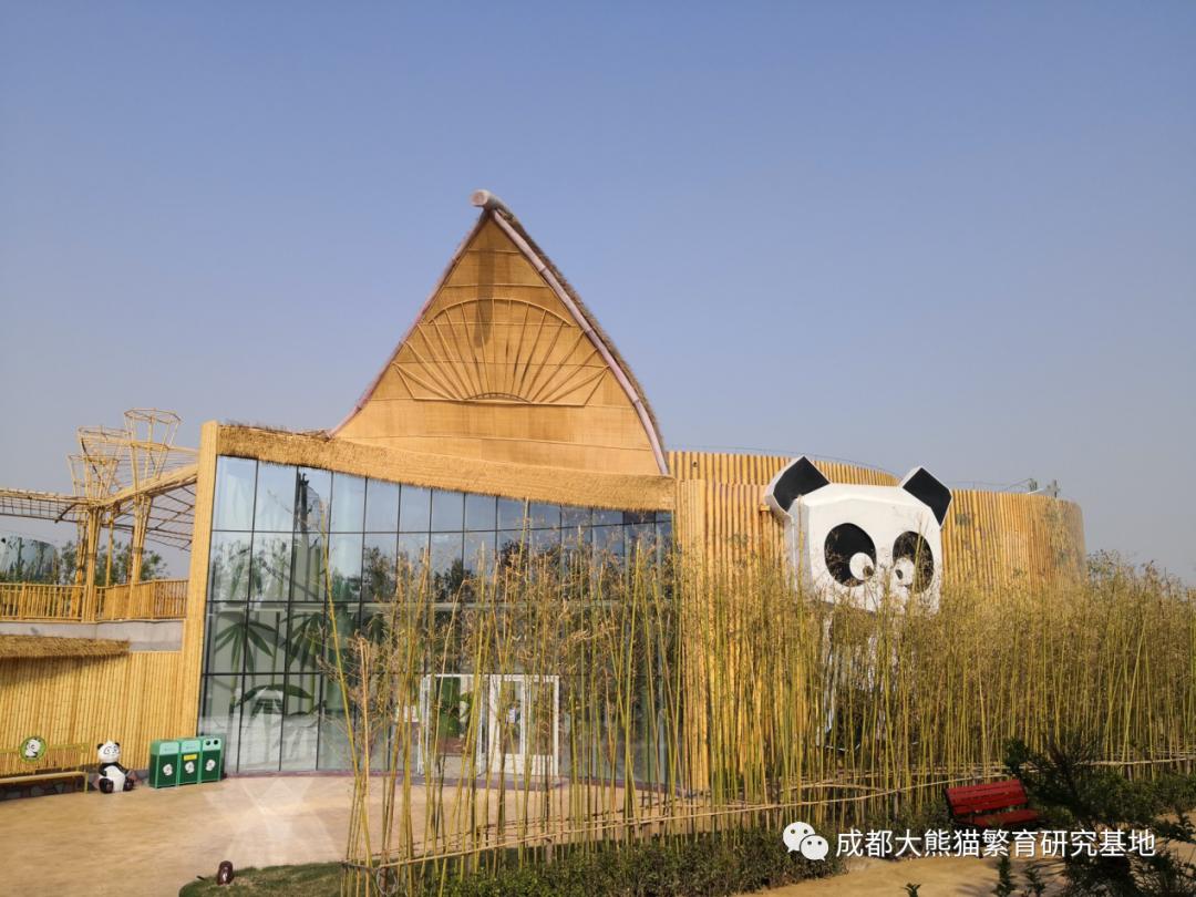 大熊猫馆外广场大熊猫馆入口大熊猫室外活动场大熊猫室外活动场大熊猫