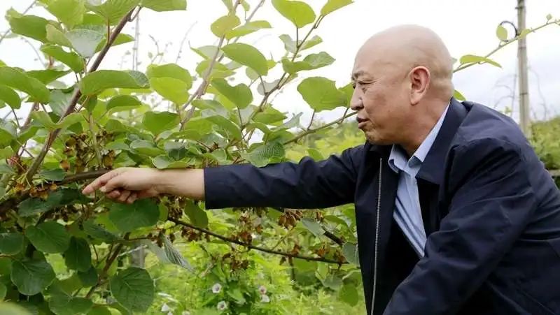 贵阳市政协委员罗兴让将农业产业革命进行到底