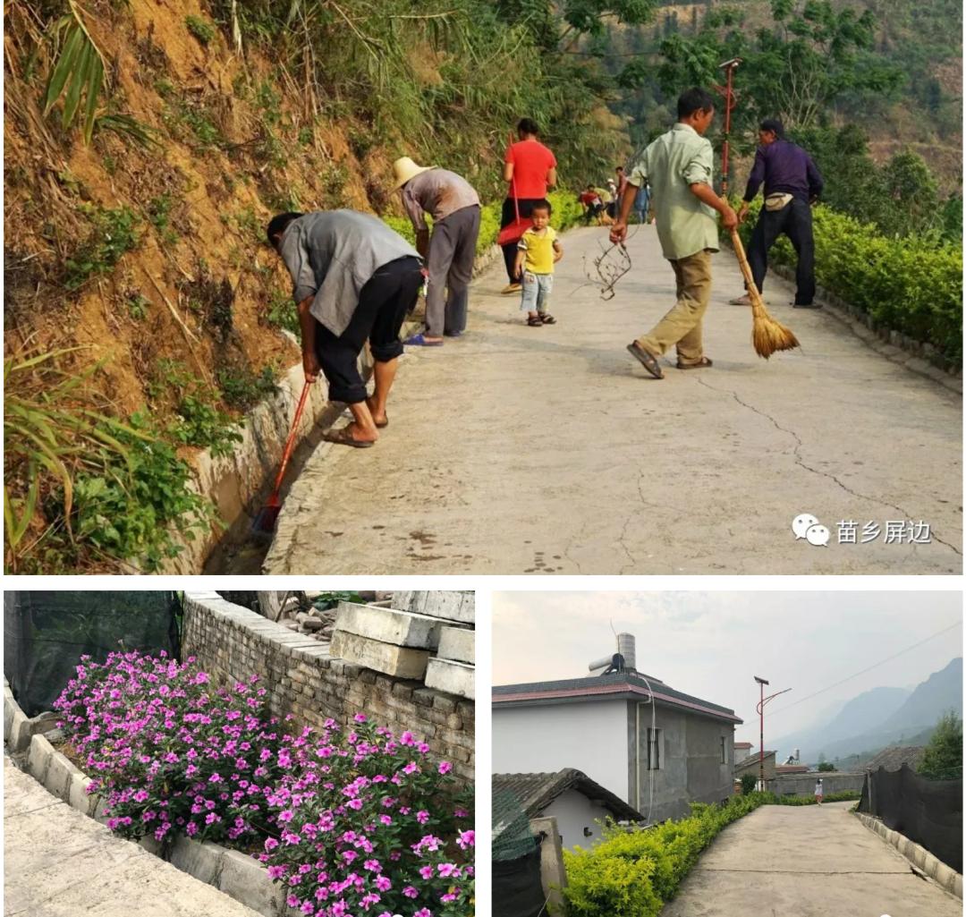 屏边县白河镇:"三强三力"助推乡村振兴!
