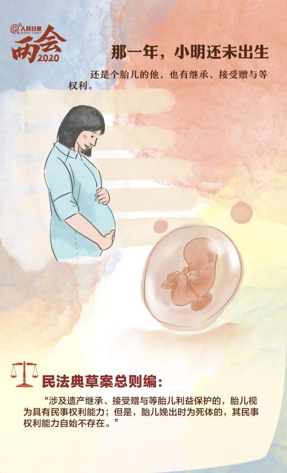 从出生到死亡民法典与小明的故事