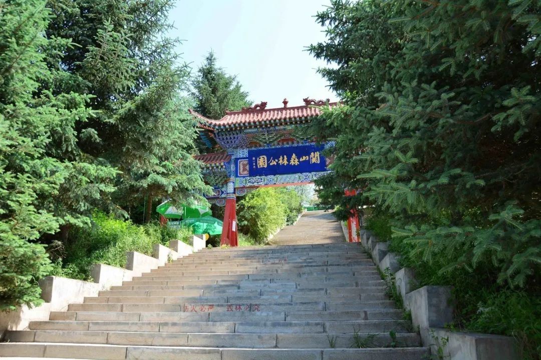 在兰州的森林公园赏梯田