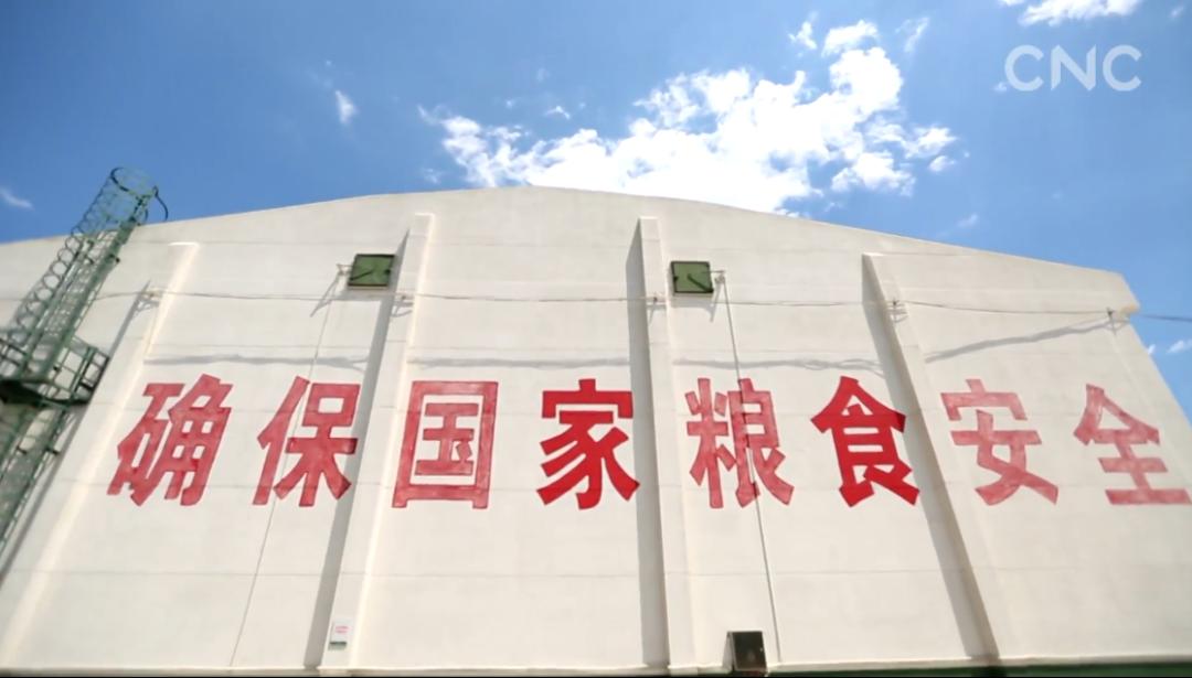 vlog丨新华社小姐姐带你探秘大国粮仓