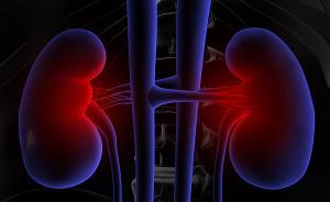 問答｜誰有患上腎臟病的風(fēng)險？