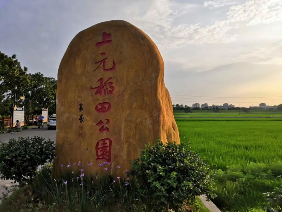 鄉村振興 | 農田變公園,舊村換新顏,茶山這條村越變越美!