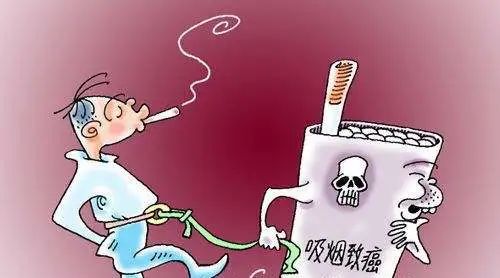 致癌作用:吸烟是肺癌重要的致病因素(在肺癌病人中,90%的有吸烟史)