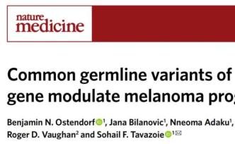 Nat Med：首次发现基因组中预先存在的遗传基因可影响癌症扩散