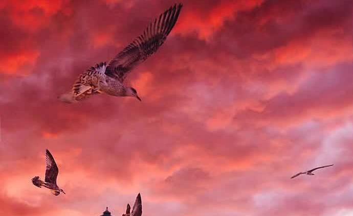 澎湃新闻 专注时政与思想 thepaper.cn