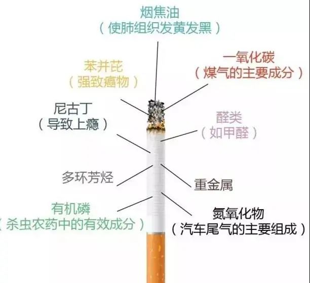 在烟草烟雾中约有4000多种化学成分,其中至少有250种已知有害物质,有