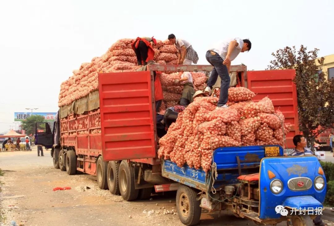 【关注大蒜市场】杞县:保障大蒜行情平稳运行