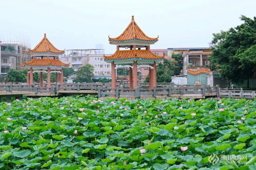 吸引在此駐足停留地點:順德區容桂街道海尾長源路25號海尾公園建議:3