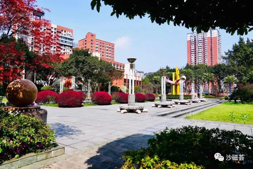 重庆一中凤鸣山中学71中签订学区共同体战略合作协议