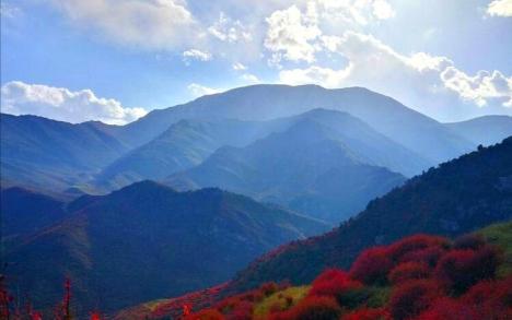 提起天祝县大红沟镇大红沟村,可能许多外地的朋友不清楚大红沟在哪里