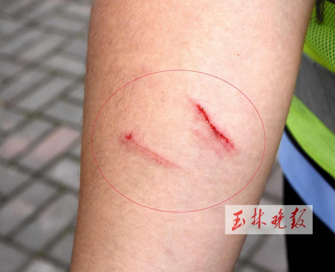 桂平路口女子逆行还抓伤交警最后却从轻处罚怎么回事