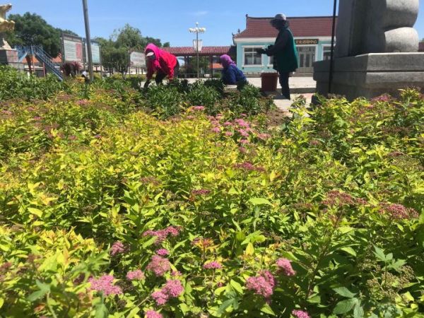 深挖城镇活力腾鳌镇奏响乡村振兴最强音