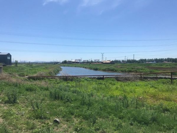 深挖城镇活力腾鳌镇奏响乡村振兴最强音