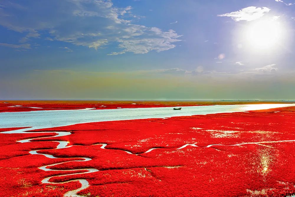 因为一望无垠的绝美"红色海",它还曾被全球畅销的权威旅游杂志《孤独