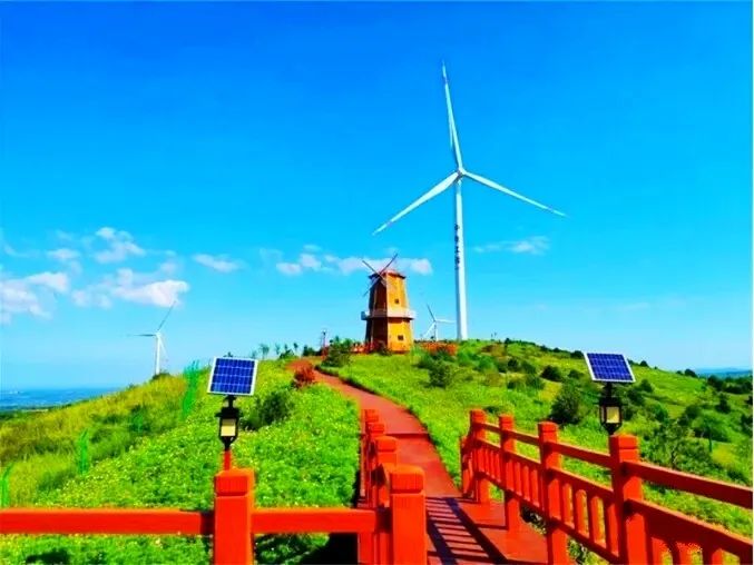 浪漫黄龙之风车小镇香花槐