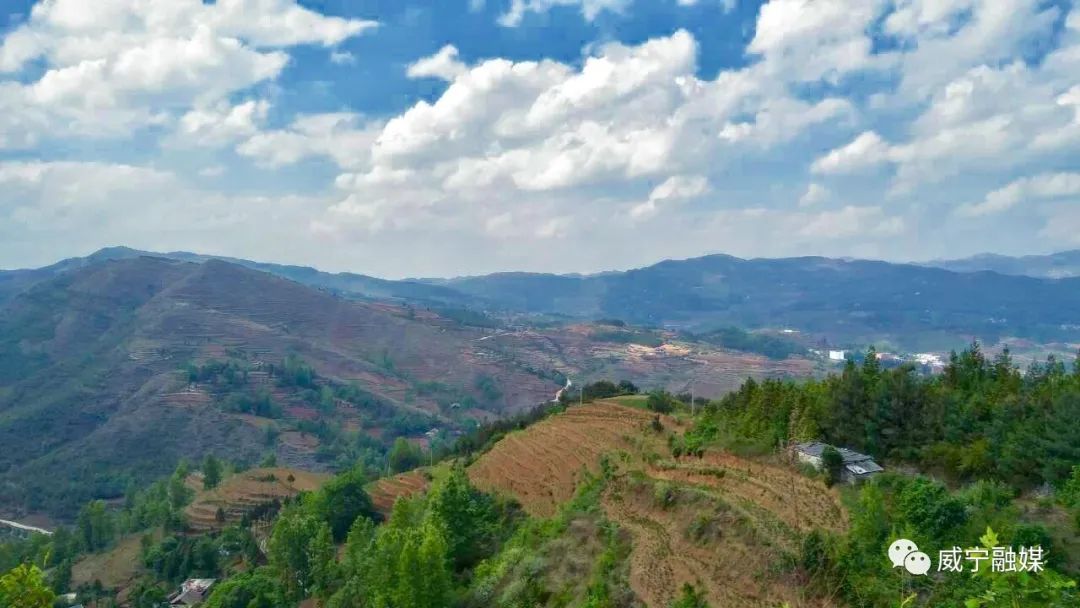 盐仓镇营洞村让背水桶彻底退休