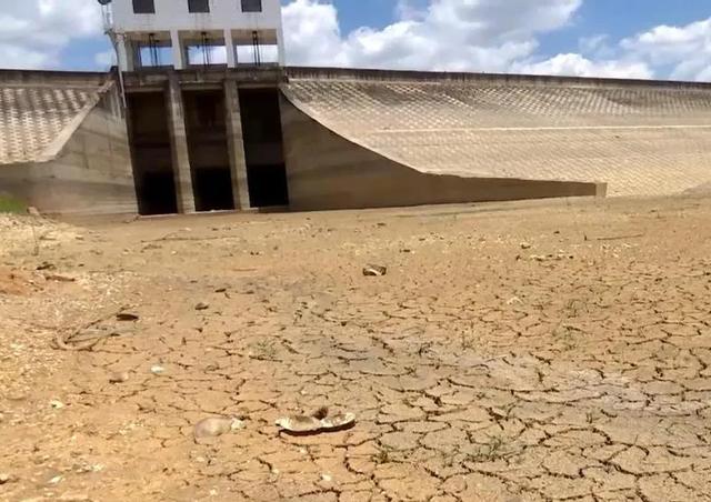 急!太平新城大面积停水!干旱致河床干裂,水库见底,水厂断供