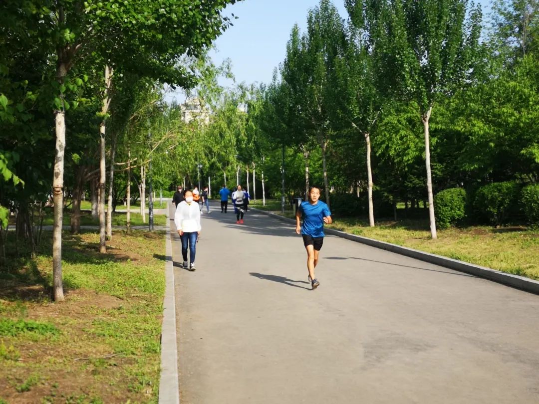 跑步是年轻人最常进行的晨练运动,每天早晨早起跑步,不仅可以锻炼身体