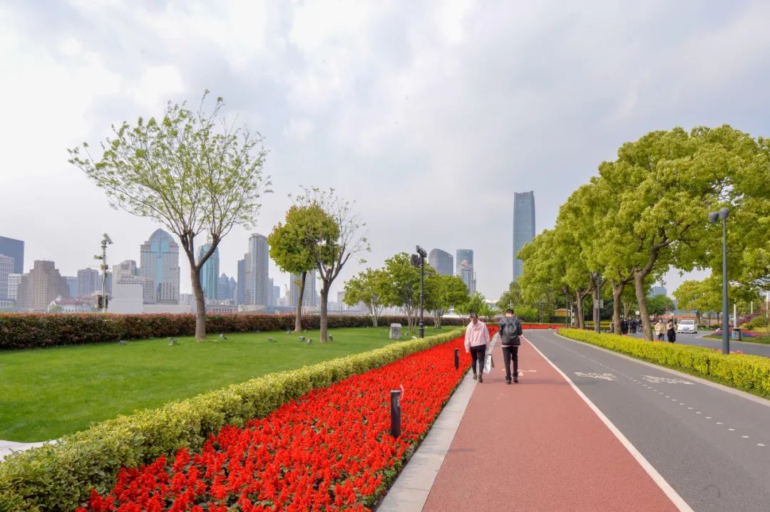 芳甸路(锦绣路-花木路)