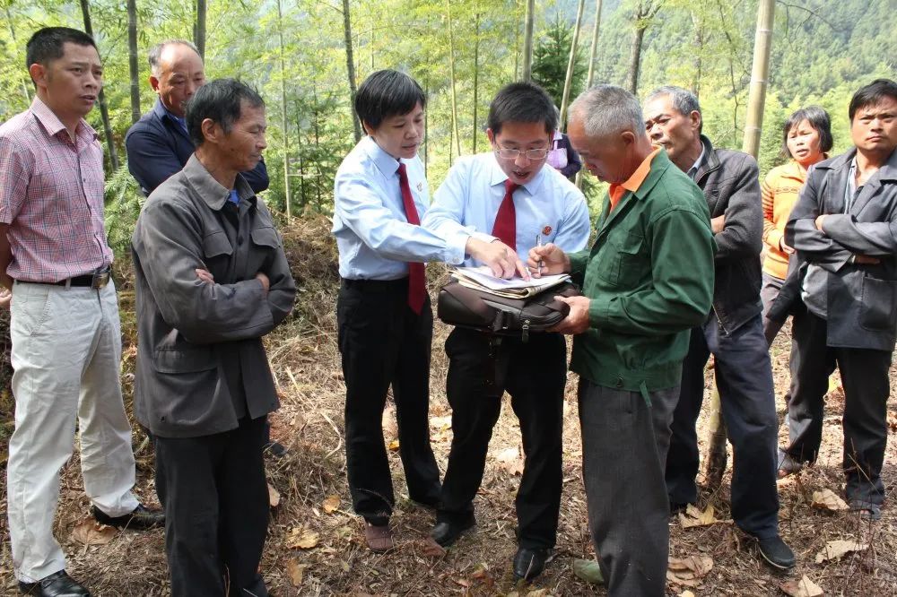 市域治理龙岩生态司法护航生态文明建设