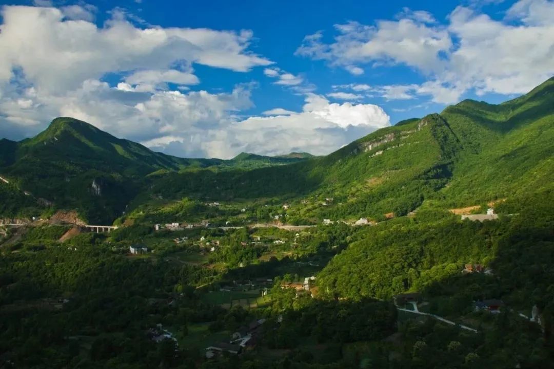 古意栗子坪醉了