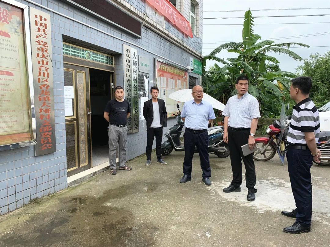 合川法院党组书记院长谢宝红赴香龙镇调研指导软弱涣散基层党组织整顿