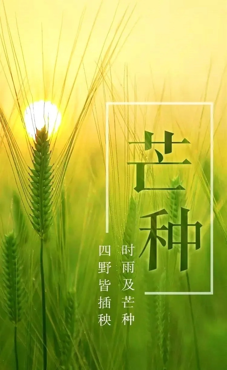 今日芒种春争日夏争时不负明珠湖畔诗意时光