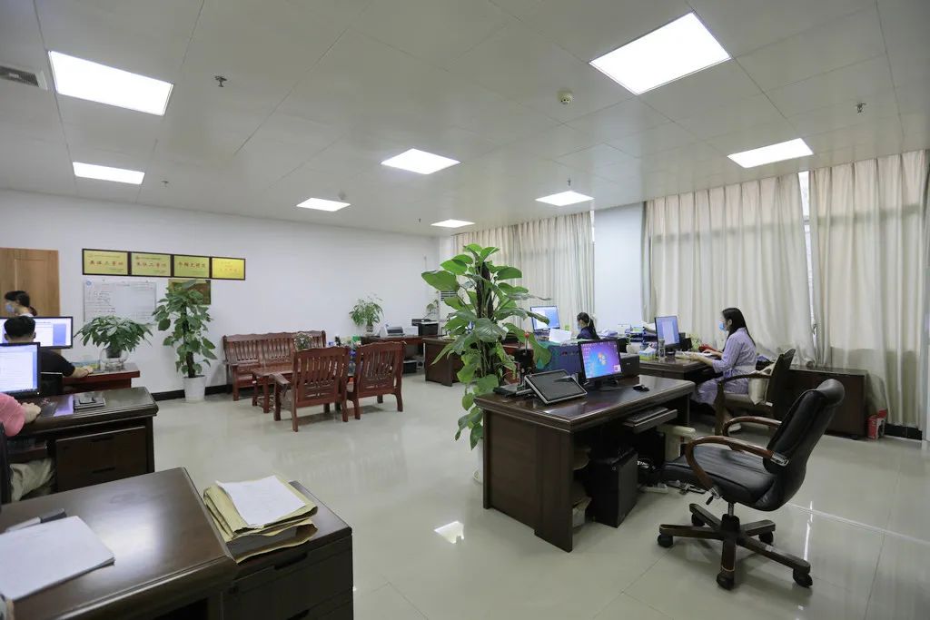 【工作动态】市中级法院2020年第一次"绿色办公室"评比新鲜出炉_政务_