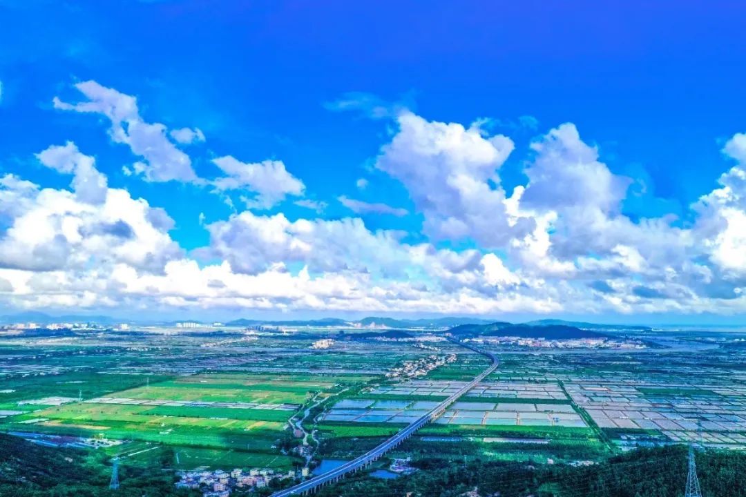 乾务镇狮群村