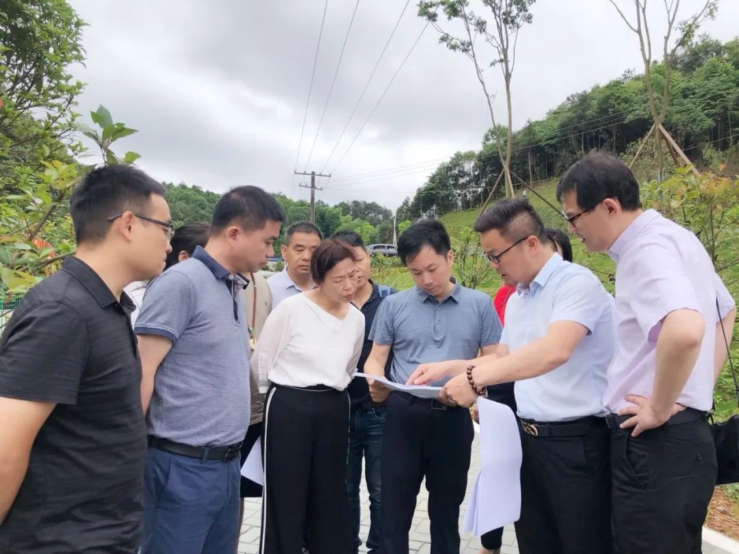 沈光对长沙县有机农业文创园进行全线调度6月4日下午,长沙经开区党