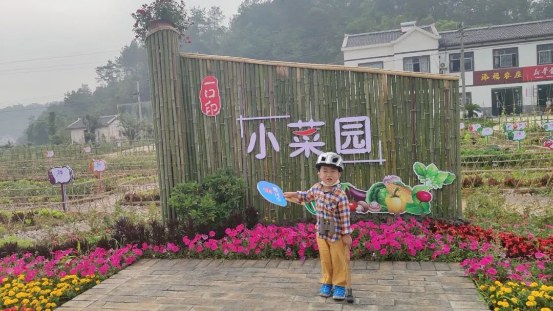 关注快来抢一口印亲子菜园招募小主人啦抢到就有大礼包