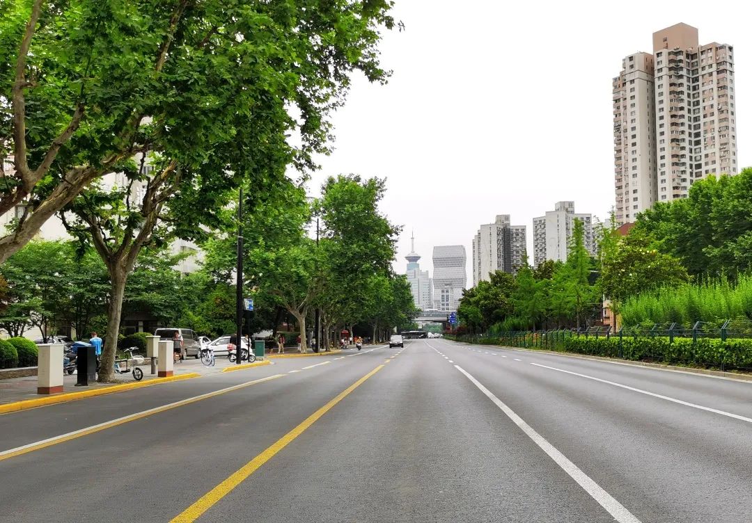 长宁这6条道路获评上海市"精品示范路",有你家门口的吗?
