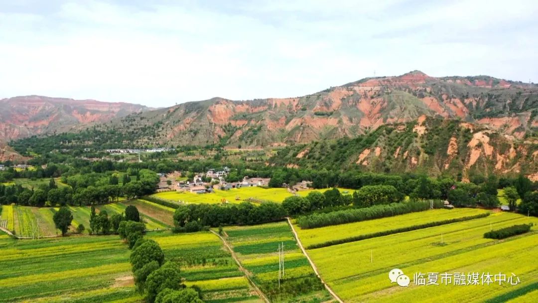 临夏市芒种时节漫步美丽乡村感受别样田园风光