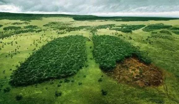 森林锐减5酸雨蔓延4生物多样性减少3臭氧层破坏2气候变暖1全球十大