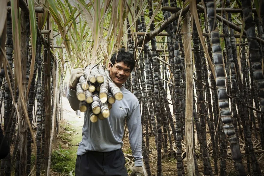 用人物精神面貌和人物活动来体现广东农村的美丽生活