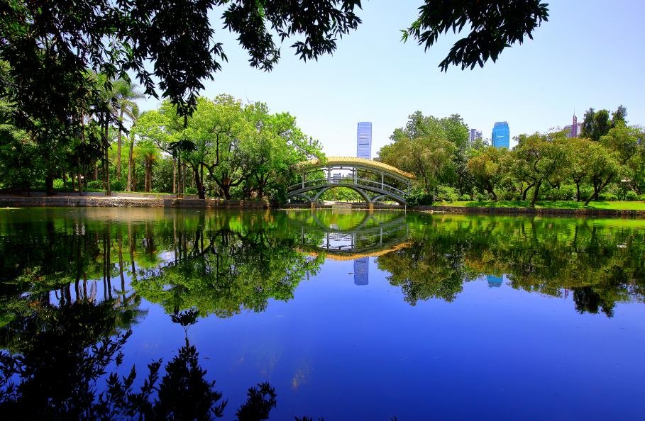 来"透明湖"打卡吧!市中心这个湖又可以愉快地玩耍啦